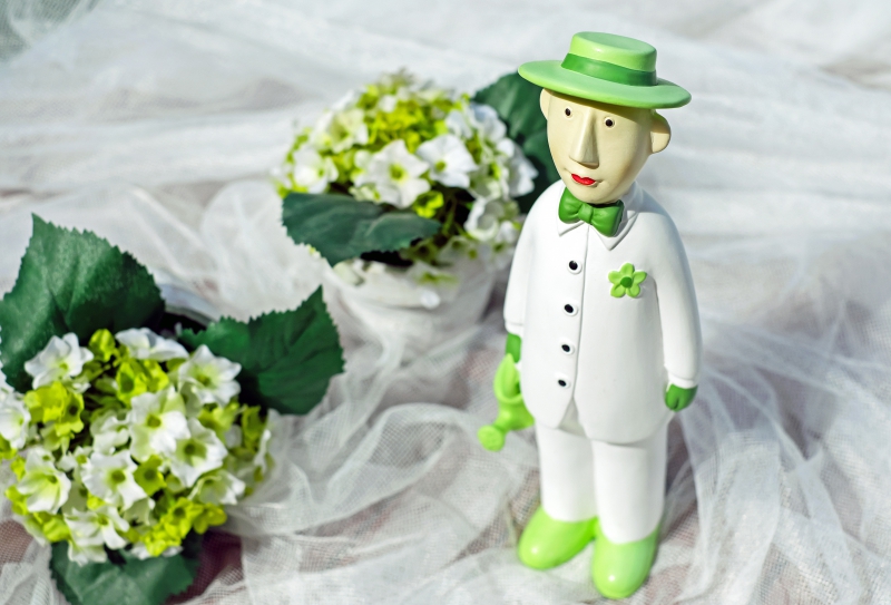 boutique-COGOLIN-min_man-person-flower-green-toy-fig-546529-pxhere.com